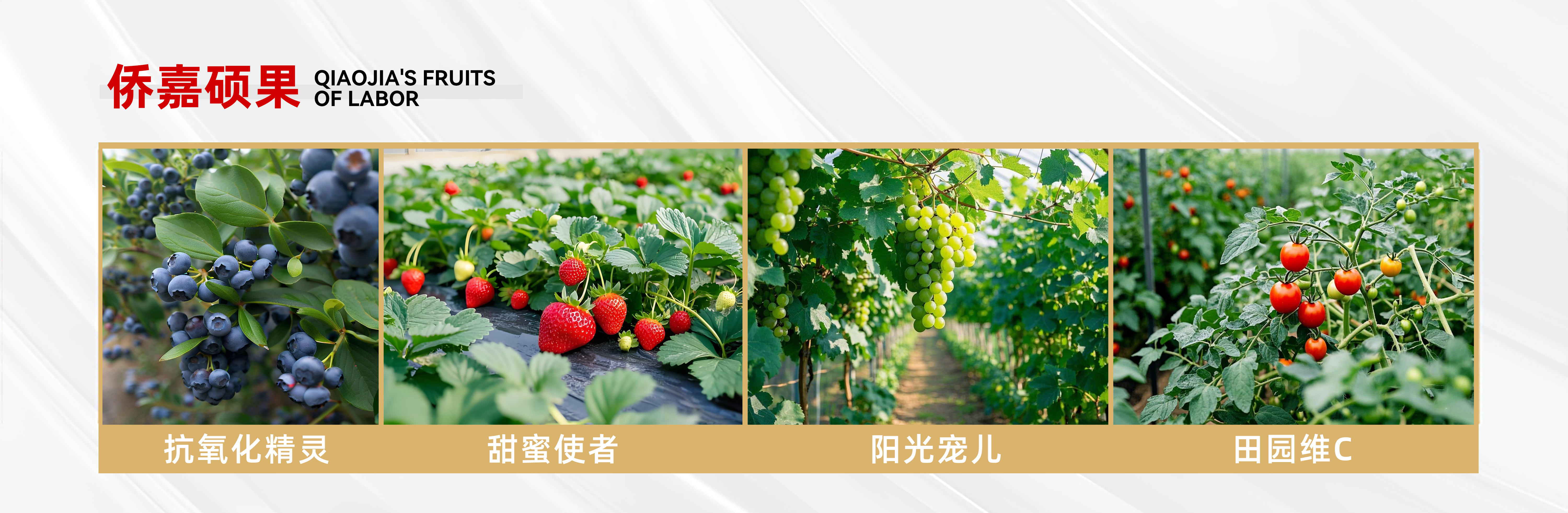 食堂展示